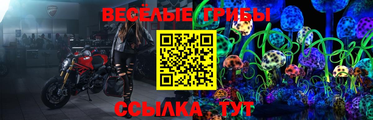 Чусовой  Галлюциногенные грибы Magic Shrooms  Вход с VPN 